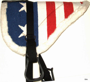 VOULEZ VENDRE des coussins de selle rouges à dos nu ACRLYIC PADS IN DOLLAR 6 SIZE full cob Shetland - Product Image 6