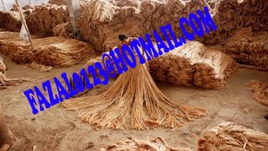 Produit en fibre de jute brute - Product Image 2