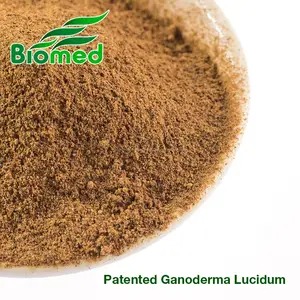 ganoderma lucidum 다당류 분말- 건강 보충