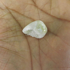 5.16 กรัม, หินเปลือกหอยดิวซี่จากธรรมชาติสำหรับงานออกแบบ ขนาด 16x21 มม., หินพลอยแบบหลวม IG3576 - Product Image 3