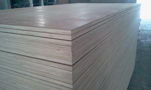 Contreplaqué de plancher de conteneur de 28 mm fabriqué à partir de bois d'eucalyptus/bois de keruing - Product Image 3