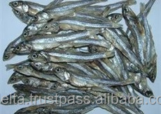 Anchoa seca con cabeza o sin cabeza, el mejor precio - Product Image 5