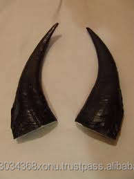 Cuerno de oveja pulido de la mejor calidad 100%, color natural, ecológico, duradero, cuerno decorativo para el hogar en venta de Crafts Galore - Product Image 3