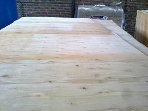 Contreplaqués commerciaux durables et polyvalents pour l'emballage, émission de formaldéhyde E2, qualité supérieure - Product Image 3