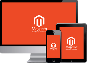 Diseño de Magento con Intellisense - Product Image 3