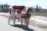 Calèche à Buggy de cheval indien pour mariage, Buggy en forme de calèche de chaperon de couronne royale, pour le mariage