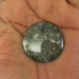 Corail noir naturel 58 Cts pierre précieuse en vrac 37mm Cabochon rond pour la fabrication de bijoux - Product Image 1