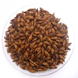 Indian Barley For Animal Feed