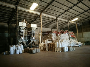 Pimienta negra nativa de VIETNAM/Poivre Noir Grain 500G/L 550G/L 570G/L FAQ/LIMPIADO HANFIMEX Ms Kathryn 0084327324400 - Product Image 3