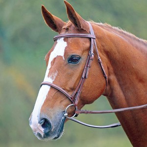 Brida de Doma de Cuero para Caballo con Patrón de Rayas Blancas Color Marrón - Product Image 2