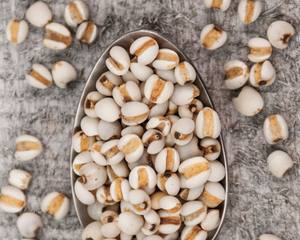 Prix de graines de coix - Product Image 2