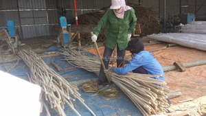 Bán Buôn Việt Nam Đánh Bóng Mây Thanh Đường Kính 10Mm Để 40Mm Với Giá Tốt Nhất, Mây Mía Made Tại Việt Nam - Product Image 5