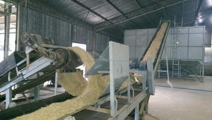 Granulés de bois pour centrales électriques, granulés de balle de riz, granulés de coque de noix de cajou à vendre, coque de noix de cajou du Vietnam - Product Image 3