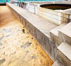 Dégradation microbienne des hydrocarbures pétroliers - Product Image 6