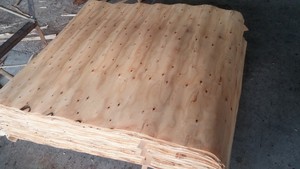 Chapa de Madera de Eucalipto de 1270x640 mm - Product Image 2