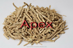 Raíz de Ashwagandha TBC Withania Somnifera Producto Agrícola - Product Image 3