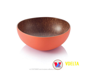 Bol en coque de noix de coco écologique et coloré - Vente chaude - Product Image 5