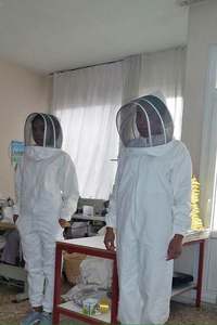 ชุดผึ้ง - Product Image 3