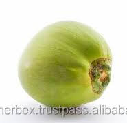 Poudre d'eau de coco de haute qualité - Product Image 2