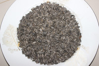 Gâteau aux graines de tournesol pour chevaux et bovins, qualité A, humidité 8-12%, emballage PP 50 KG, marque Ctc