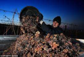 ที่กดตะกร้าไวน์ - Product Image 5