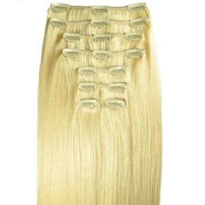 Clip on Extensions Blonde Hair - Product Image 1