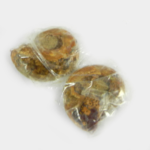 ขายร้อนธรรมชาติ Ammonite 3.80 Gms 1คู่21X20มิลลิเมตรพลอยหลวมสำหรับทำเครื่องประดับ - Product Image 2