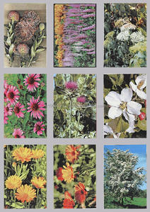Postales de Papel con Flores Tejidas - Product Image 2