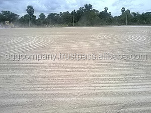 Residuo de Tapioca, polvo de residuos de Tapioca, pellets de residuos de Tapioca - Product Image 6