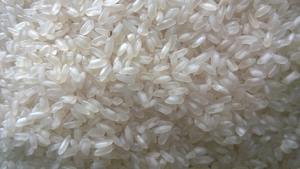 ARROZ CAMOLINO - Product Image 5