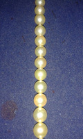 Perles Naturelles des Mers du Sud