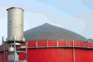 Microbios para la Degradación Anaeróbica de Residuos Orgánicos en Plantas de Biogás - Product Image 2