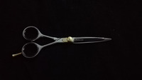 Ciseaux de coiffure professionnels GS3574699 ciseaux de coiffeur avec lame et poignée en acier inoxydable pour la coupe de cheveux