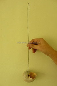 Maceta Colgante para Plantas de Aire con Diseño de Caracol de Manzana - Product Image 3