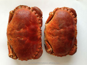 Offre Spéciale Live Mud Crabes Bleu Congelés Casher D'OR Crabe Viande Plateau D'origine Type Vie Variété Produit Lieu Modèle Carton GMP