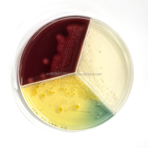 Microbial Degreaser <b>Cleaner</b> for Grease Trap and <b>Drain</b> Cleaning Enzyme - Product Image 5