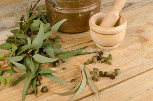 น้ำมันหอมระเหยยูคาลิปตัสบริสุทธิ์ 100% เกรดพรีเมียมสำหรับการบำบัด น้ำมันนวดอโรมา กลิ่นและรสชาติ AG AG 101 สีเหลืองอ่อน - Product Image 4