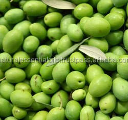 Aceite de Oliva Virgen Extra orgánico al por mayor: calidad superior para el cuidado del cabello y uso culinario-Precio a granel disponible - Product Image 2