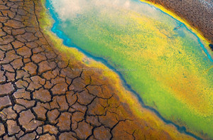 Biorémediation des déversements de pétrole à l'aide d'enzymes microbienne - Product Image 3