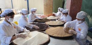 Graine de Lotus bon, sans sucre, à faible teneur en sucre, expédition au nigéria - Product Image 6