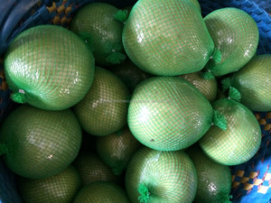 5 ROI <span class=keywords><strong>POMELO</strong></span> ราคาพิเศษจากเวียดนาม