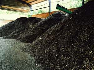 Coque à noix de cahe du vietnam, pour le chauffage, combustion - Product Image 5