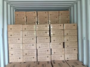 Ready to Export THANH HAI Eco-Friendly <b>Disposable</b> Modern Wooden Japanese <b>Chopsticks</b> 4.5x203mm Made of Wood From Vietnam - Product Image 4