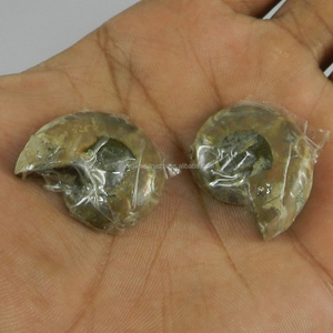 Ammonite ธรรมชาติ27X23มม. 1คู่ฟรีฟอร์ม14.80 Gms อัญมณีหลวมสำหรับทำเครื่องประดับ - Product Image 3