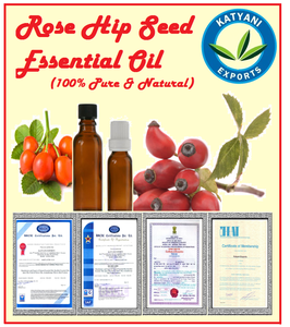 Huile de graines de Rose 100% biologique et naturelle, haute qualité, livraison gratuite - Product Image 2