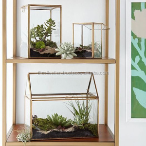 Modern Geometric Glass <b>Terrariums</b> Gold Plated Frame Succulent Planters Desktop Decor Minimalist Style Hanging Design - Product Image 6
