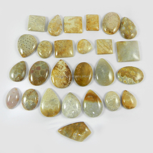 ปะการังธรรมชาติ26ชิ้น,อัญมณีทรงหลวม100 Gms Cabochon แบบอิสระสำหรับทำเครื่องประดับ - Product Image 1