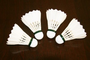 Volant de badminton professionnel de tournoi international BWF LIBOTAI 2021, plume de canard blanche, 4,8 g - Product Image 4