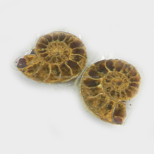 ขายร้อนธรรมชาติ Ammonite 3.80 Gms 1คู่21X20มิลลิเมตรพลอยหลวมสำหรับทำเครื่องประดับ - Product Image 1