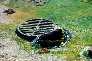 Microbios que promueven la descomposición rápida y eficiente de sólidos en tanques sépticos - Product Image 3